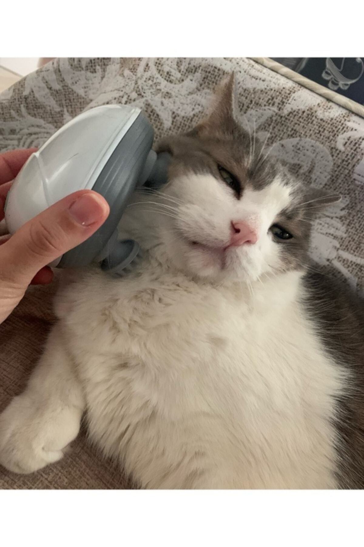 Kedi Masaj Aleti Şarj Edilebilir Su Geçirmez