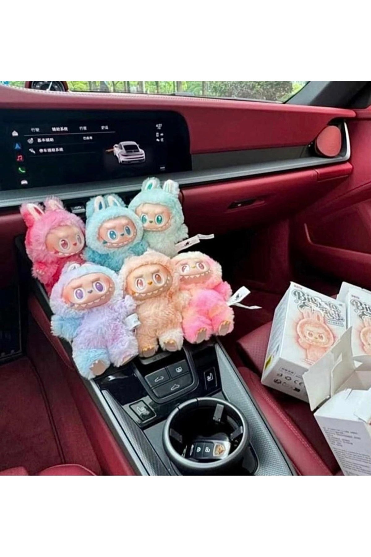 Labubu 1.kalite Premium Seri 6'lı Set , Pop Mart Renkleri Keşfet (HEDİYELİ) ŞEFFAF KUTUDA